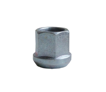 Rim nut M22x1,5 6S Karosa