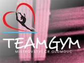 FERDUS opět podpořil MČR TeamGym